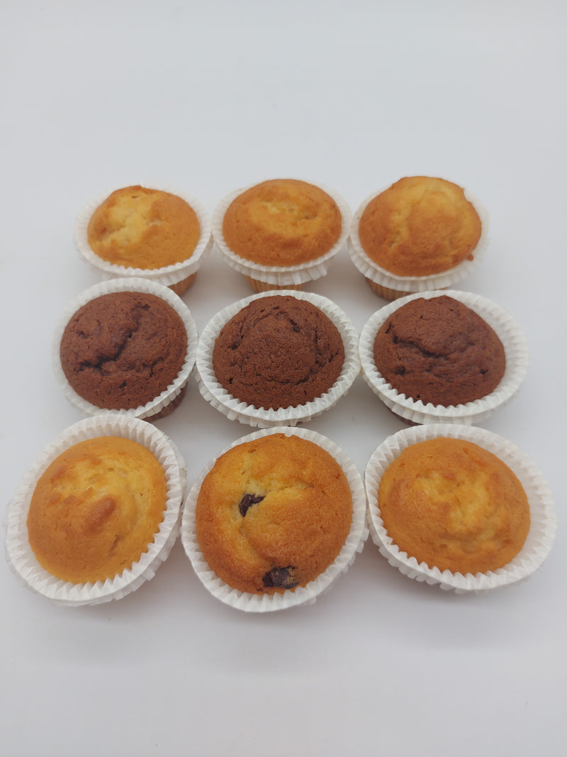 Mini muffins (9)